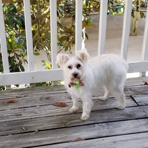 Meet your Posher, Sheree